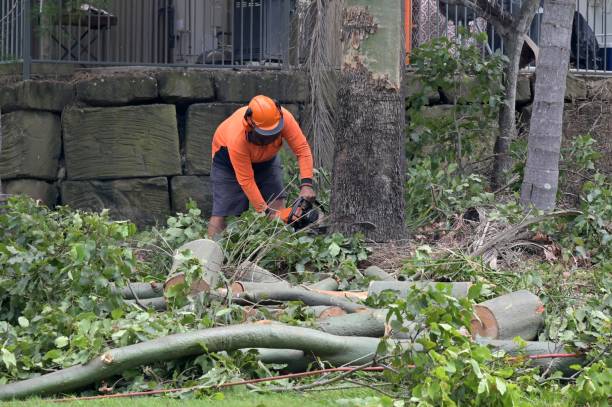 Best Storm Damage Tree Cleanup  in Lake Kerr, FL